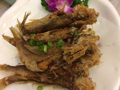 -昌正春天酒店-海鲜餐厅