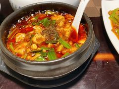 -陈麻婆豆腐总店
