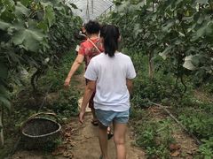 -马陆小张葡萄园农家乐