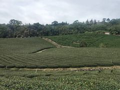 -优游吧斯邹族文化部落