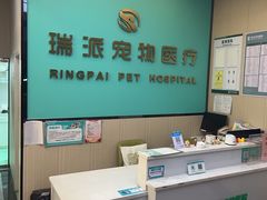 -瑞派宠物医院(搏威敦和院)