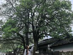 -井冈山风景名胜区