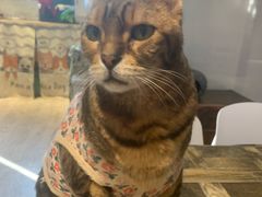 -小时光咖啡馆(北锣鼓巷店)