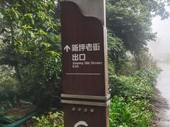 -铁山坪森林公园