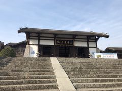 -大唐贡茶院