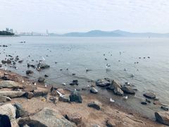 -深圳湾公园(南山区)
