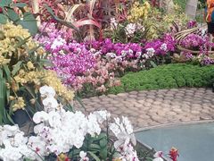 -北京植物园-展览温室