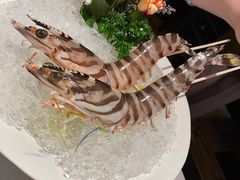 斑节虾皇-洋房火锅(新天地店)