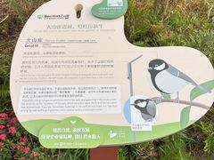-福田红树林生态公园