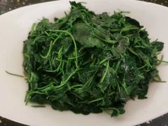 -宝燕壹号(长寿店)