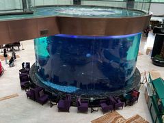 -OPEN開全日自助餐厅·牛肉火锅·海鲜(佛山希尔顿酒店)