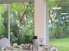 -芭厘·农庄老字号.电饭煲五指毛桃焗鸡