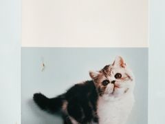 -狗舍宠物医院(四季商业广场店)