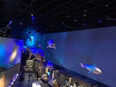 -贝林大翅鲸简餐厅(国家海洋博物馆店)