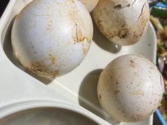 烤活珠子-东北小板凳地摊烧烤(泰来街店)