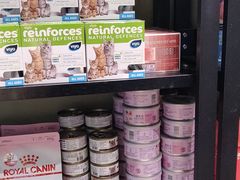 -东方名猫馆·英短金渐层布偶猫舍(环线广场1号楼店)