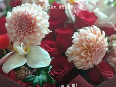 -诺筵汤品·菌汤火锅(南河坝店)