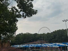 -横店影视城梦幻谷园区