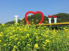 -红山村