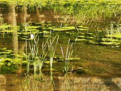 -永定河休闲森林公园