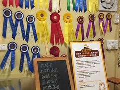 -柴犬高等学院·狗咖·柴犬售卖·宠物训练