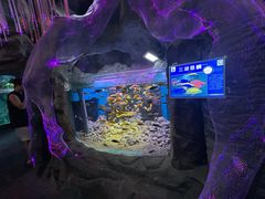 -威海华夏城景区