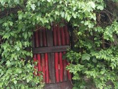 -斯多格书乡(北京大学畅春园店)