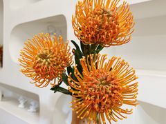 -森野花艺培训·企业团建活动沙龙