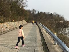 -巢湖姥山岛
