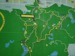 -火炉山森林公园