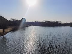 -苏州太湖国家湿地公园