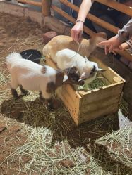 -Zoolung Zoolung动物主题公园(海信广场店)