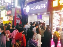 -一只酸奶牛(八一路店)