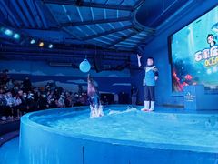 -石家庄海洋公园