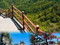 -龙峪湾国家森林公园