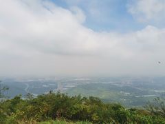 -黄埔油麻山森林公园