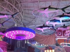 -烟台海昌鲸鲨海洋公园