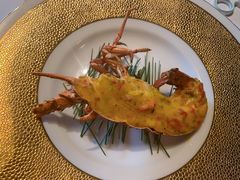 澳洲龙虾-许家菜(望江店)