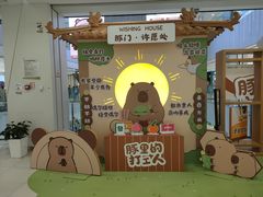 -凯德MALL(西直门店)