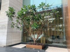 -阿瓦尼河滨曼谷酒店