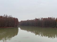 -上海海湾国家森林公园