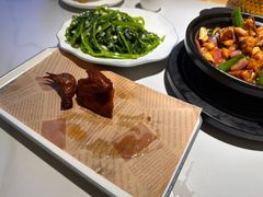 -鸽小宝(深圳首店)