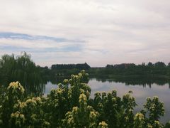-东郊湿地公园