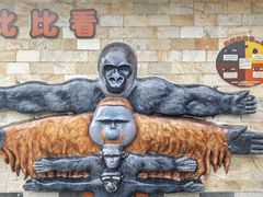 -成都动物园
