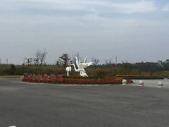 -盐城丹顶鹤湿地生态旅游区