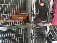 -美联众合动物医院·24h京西诊疗中心