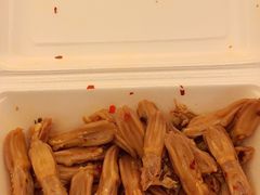 -正斗潮州卤鹅