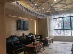 -碧莲盛·不剃发植发