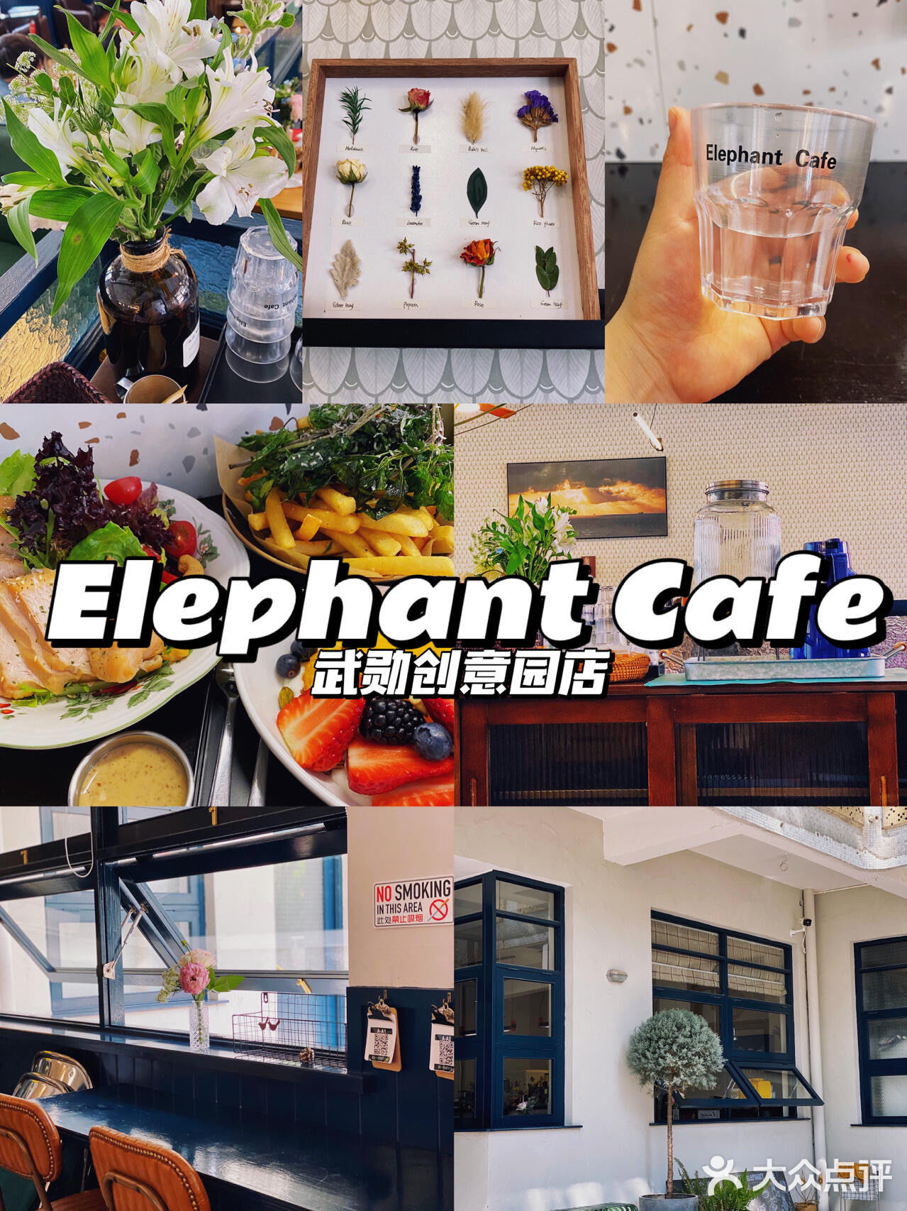 绍兴美食探店｜Elephant Cafe 