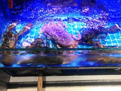 -鸽子侯·家宴·平价海鲜(市图书馆店)